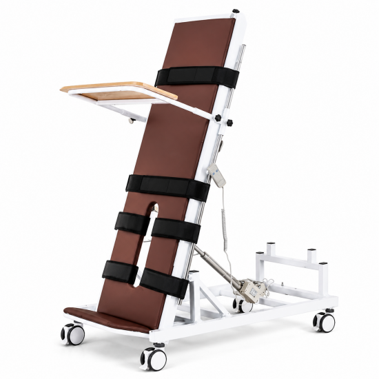 Electric Standing Rehabilitation Bed for Elderly Mobility and Daily Care