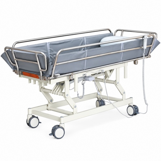 Electric Elderly Bathing T...